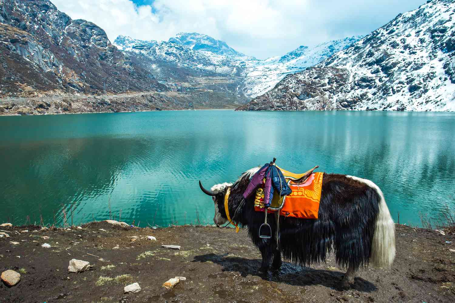 sikkim1-min sikkim1-min